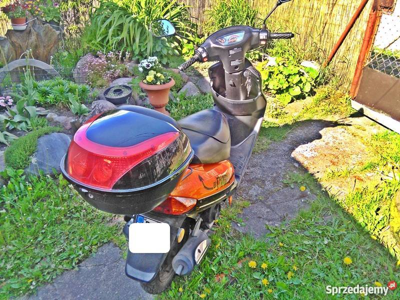 ZIPP Toros ElDiablo na sprzedaż serwisowany w ASO Owińska