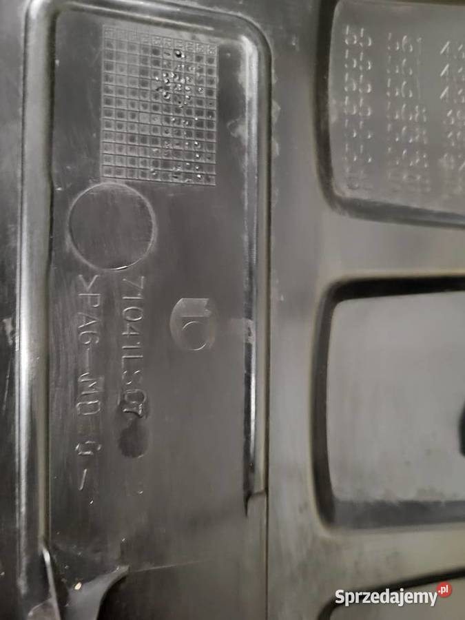 Porywaosłonaobudowa silnika Ecotec