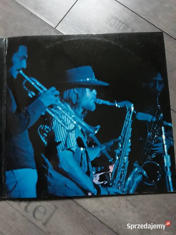 Z wykopalisk Jazz Rocka THE FLOCK The Flock 1972 płyta winylowa Rzeszów