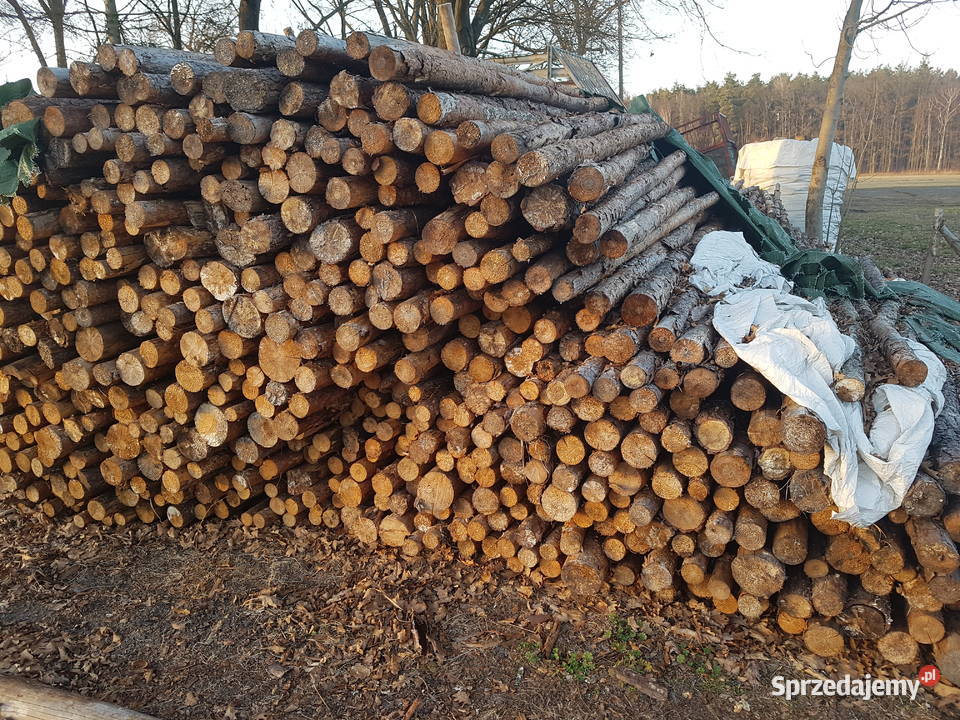 Stemple budowlane 240m 320m 4m i Opał Brzoza Milicz