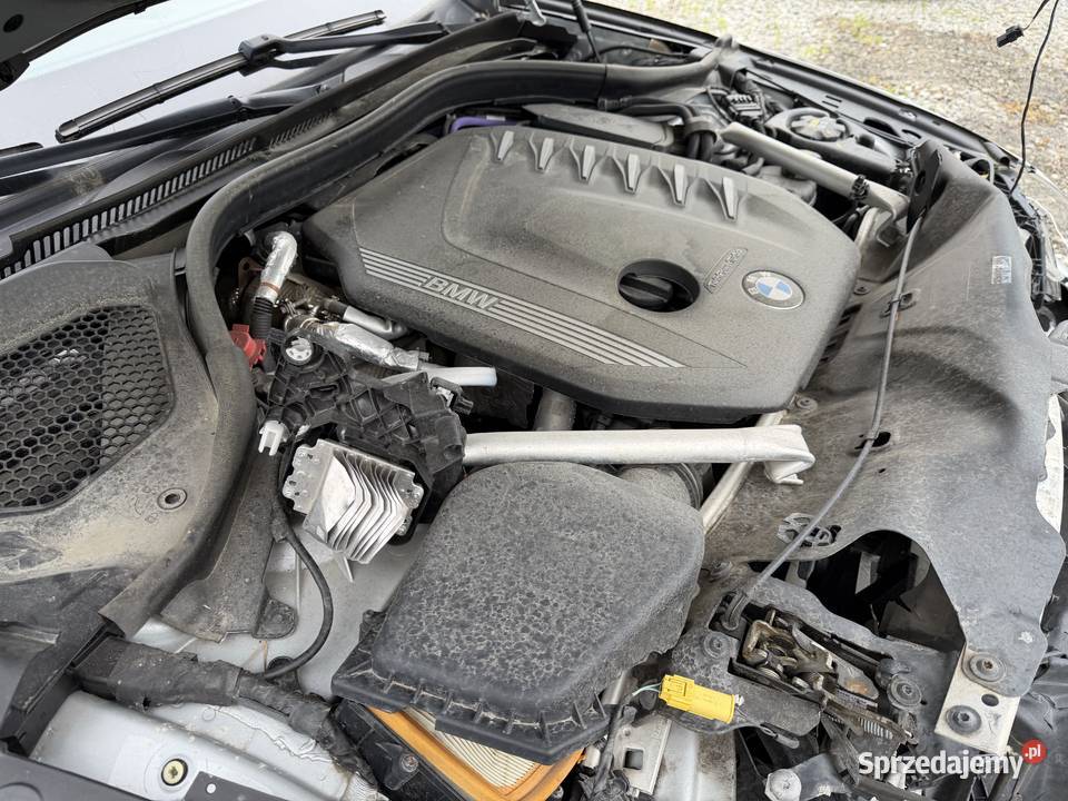 BMW Seria 5 530d xDrive mHEV Luxury Line sport opolskie Prudnik