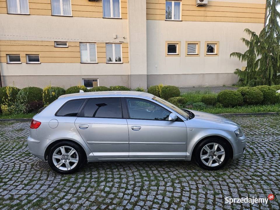 Audi A3 2006r 20Tdi 4x4 Quattro Klimatronik małopolskie Ryglice