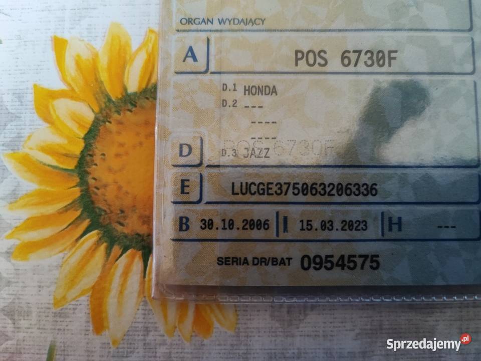 Honda Jazz 2006 14 Sośnie