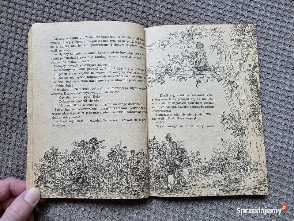 Chłopcy z Placu Broni Ferenc Molnr