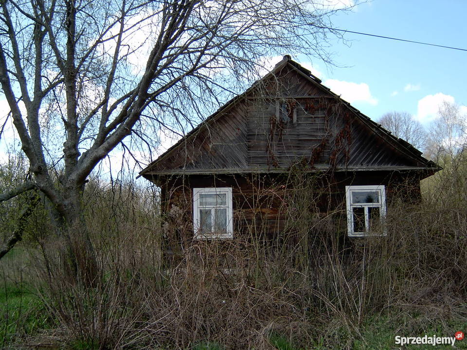 Siedliskodom drewn Ozierany Wielkie gmKrynkinowa Grunty i działki Ozierany Wielkie