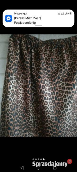 Spódnica rozkloszowana panterka pantera cętki Spódnice i sukienki Spódnice i sukienki Krosno sprzedam