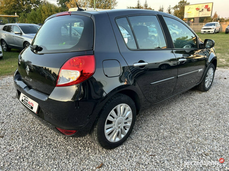 Renault Clio Super stan III 20052012 lakier metallic Nowe Iganie sprzedam