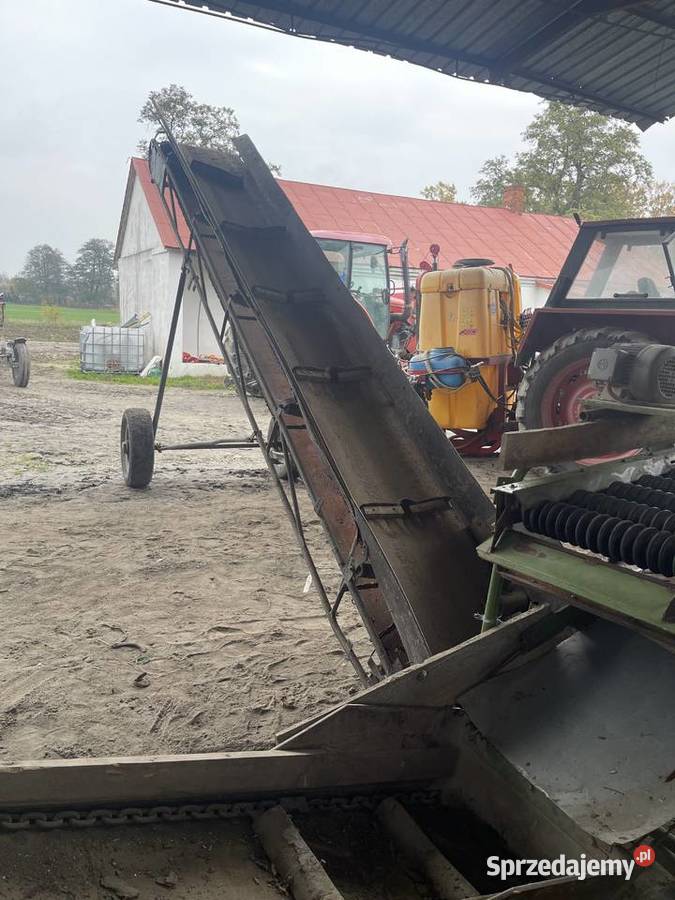 Sortownik ziemniaków Amazone BK 3 Parczew sprzedam