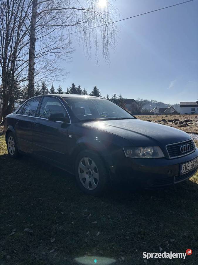 Audi małopolskie Nowy Sącz