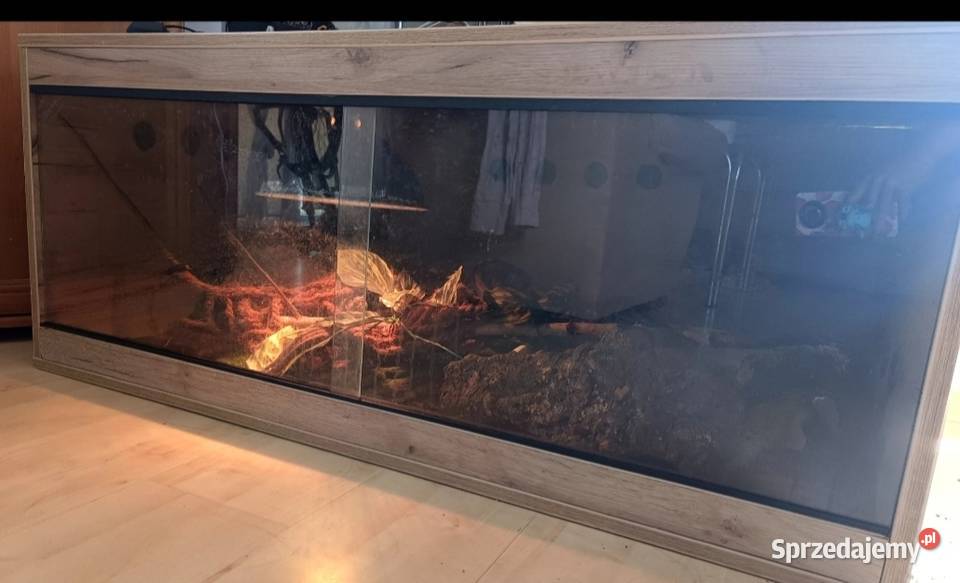 Terrarium razem z wężami sprzedam
