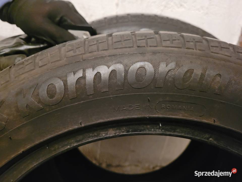 kormoran gamma 2 2055516 2 ładne Lublin