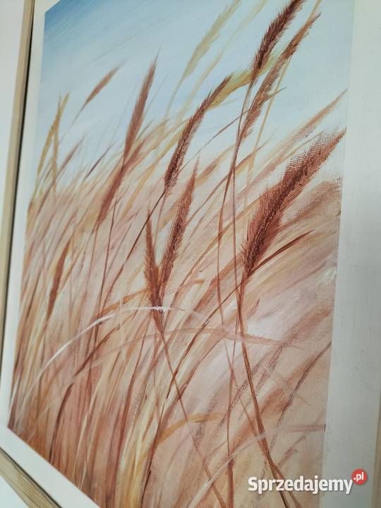 Zboża Lublin sprzedam