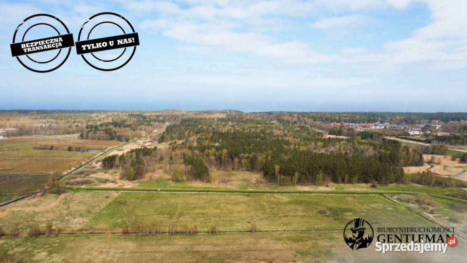 sprzedaży działki 5000m2 Dębki 5000m2