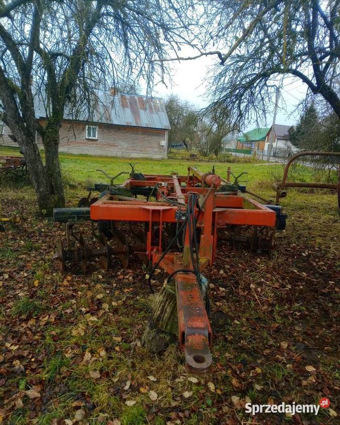 Talerzuwka Pozostałe