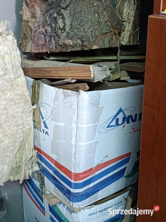 drewno drzewo pieńki sprzedam Poznań