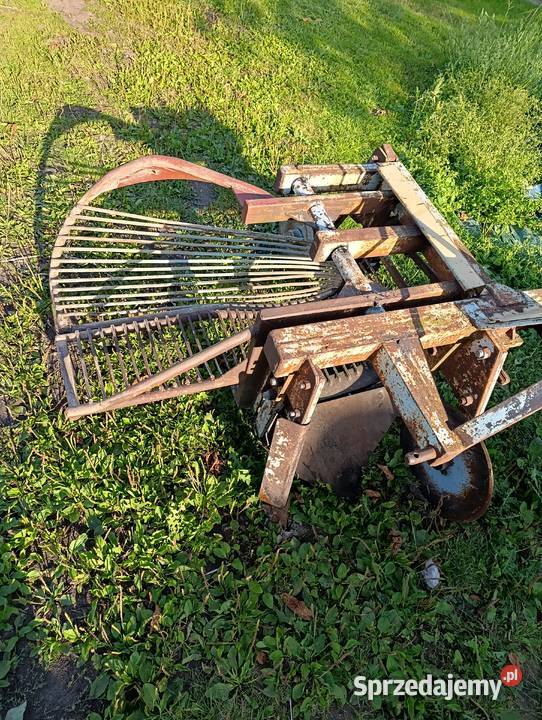 kopaczka wibracyjna kujawsko-pomorskie