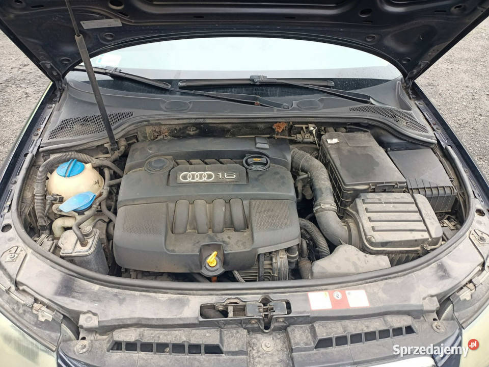 Audi A3 3drzwiowe Audi A3 16 03r 8P 20032012 Tarnów