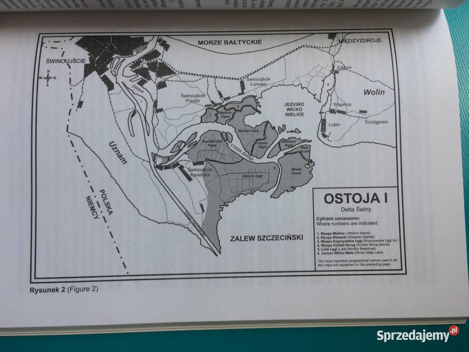 3431 Ostoje Ptaków W Pol Części Zalewu