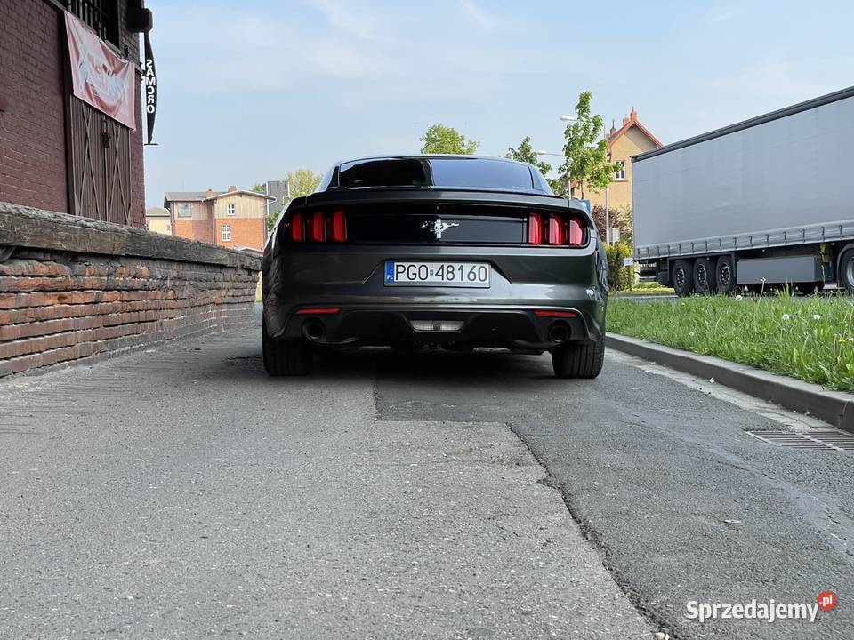 Ford mustang 37 305 Ford Zdrój