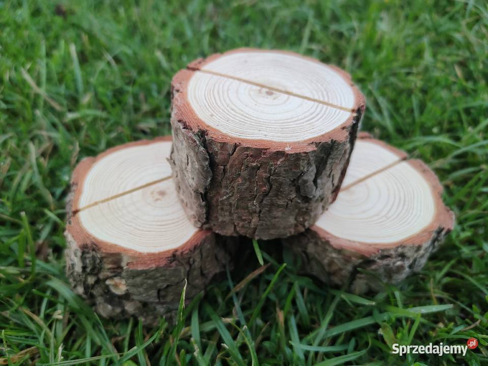 Pieńki plastry suche sosna różne średnice i Kulno
