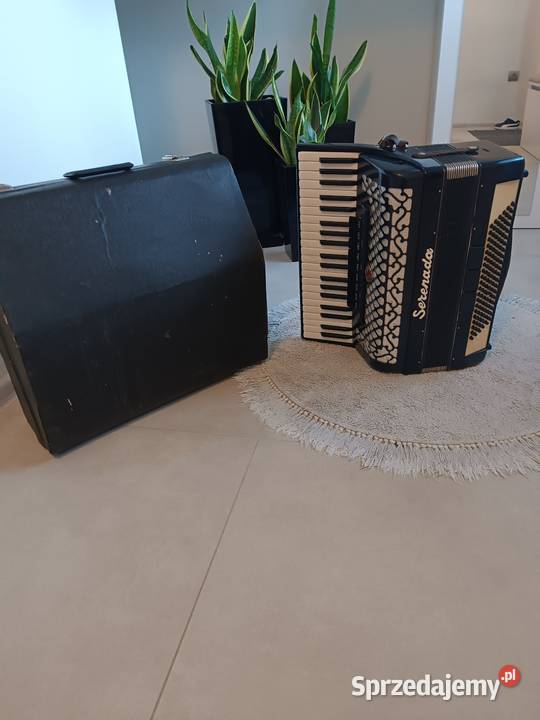 Akordeon serenada 120 basów Dębica