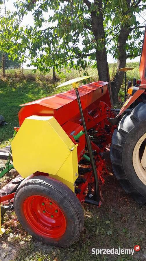 Siewnik poznaniak famarolamazone podkarpackie Dynów