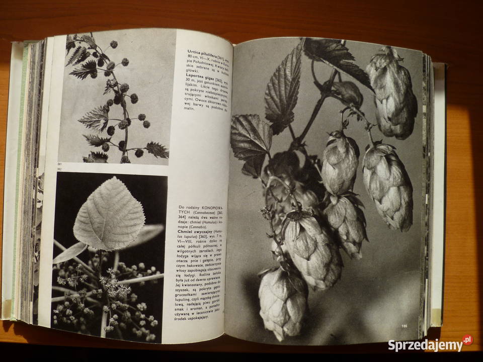 Wielki atlas roślin FANovak sprzedam