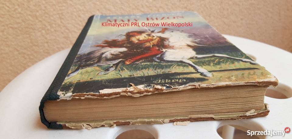 Mały Bizon Adrkady Fiedler Państwowe Wydawnictwo śląskie