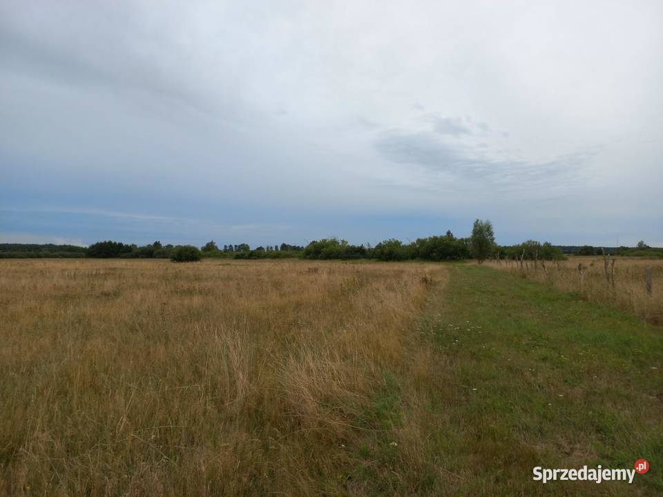 Działka w pobliżu morza sprzedam