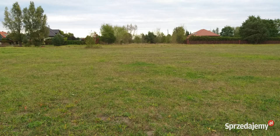 działka budowlana pod Warszawą 30 PKiN asfalt mazowieckie Małocice