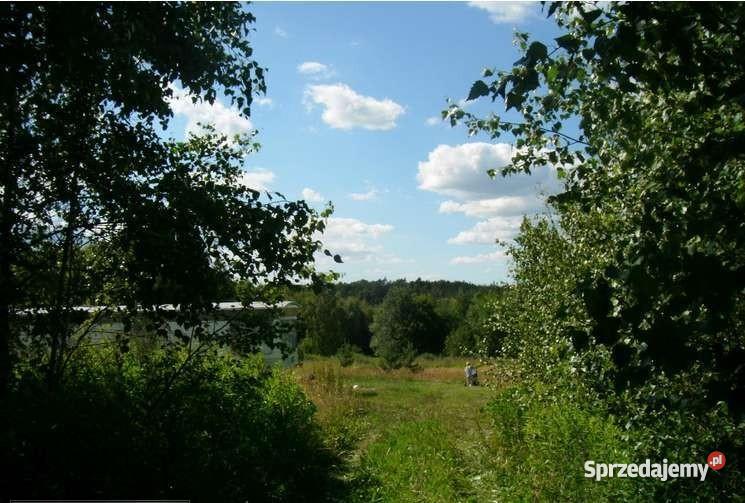Gardeja działka budowlana26000m2 działki 1200m2 Gardeja
