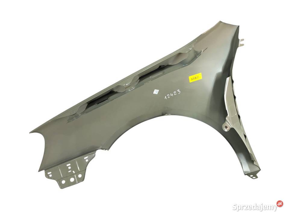 Volkswagen Golf V 1K Hatchback 20032009 Błotnik osobowe świętokrzyskie Skarżysko-Kamienna