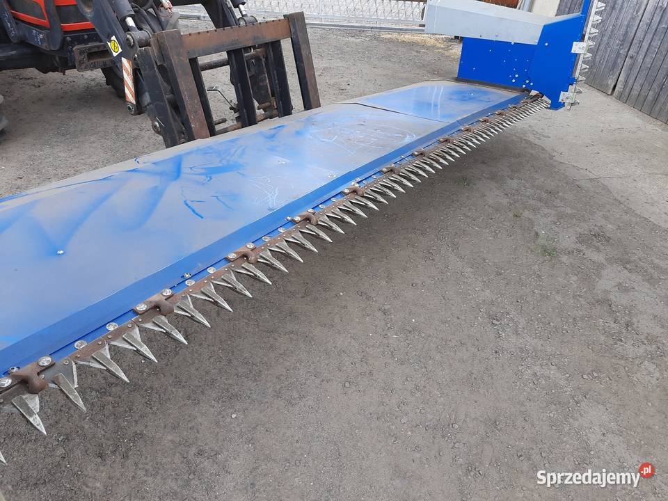 Stół do rzepaku Rolmako nieuszkodzony sprzedam