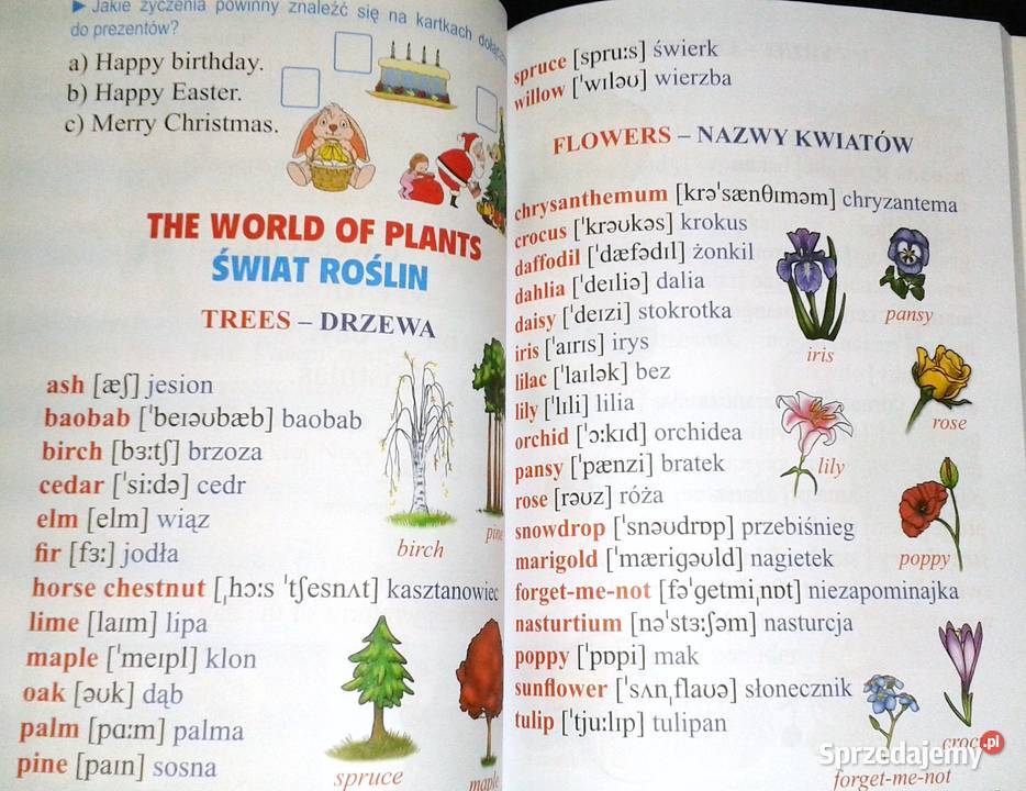 Angielski najmłodszych Nauczanie początkowe Rok wydania 2007 Pozostałe