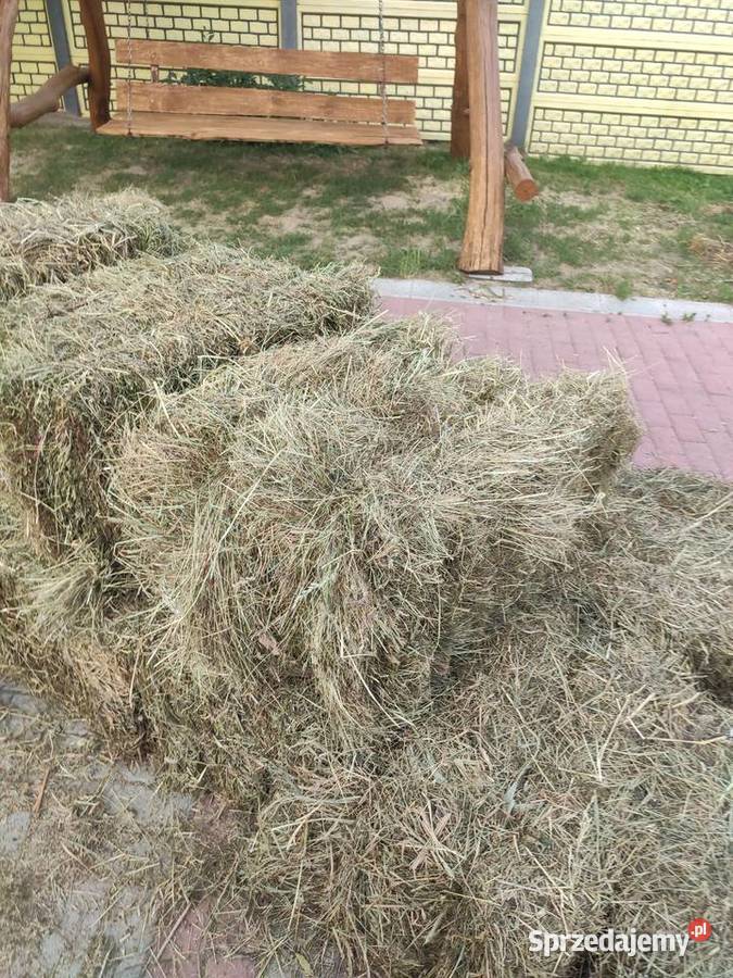 Siano pierwszy pokos w kostkach Iłża sprzedam