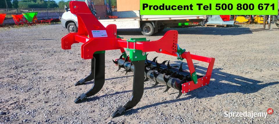 Głębosz Wał Kolczaty nieuszkodzony dolnośląskie Legnica