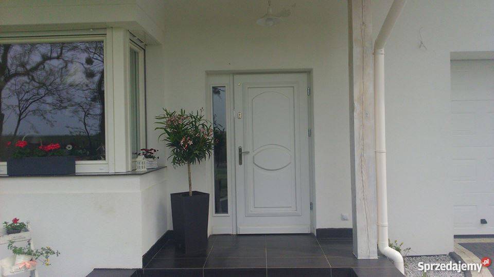 Drewniane drzwi zewnętrzne na każdy wymiar śląskie Chorzów