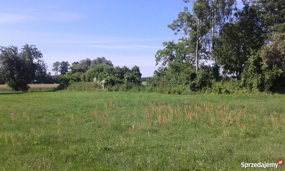 Sprzedam działkę Lipniki Stare sprzedam