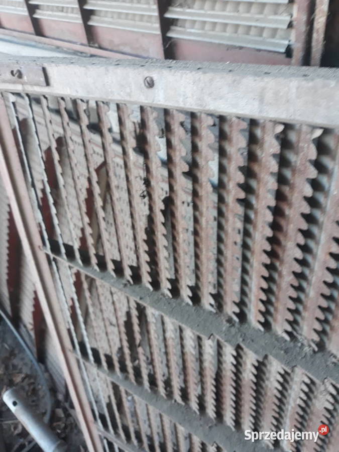 Sita bizon Przyszowice sprzedam