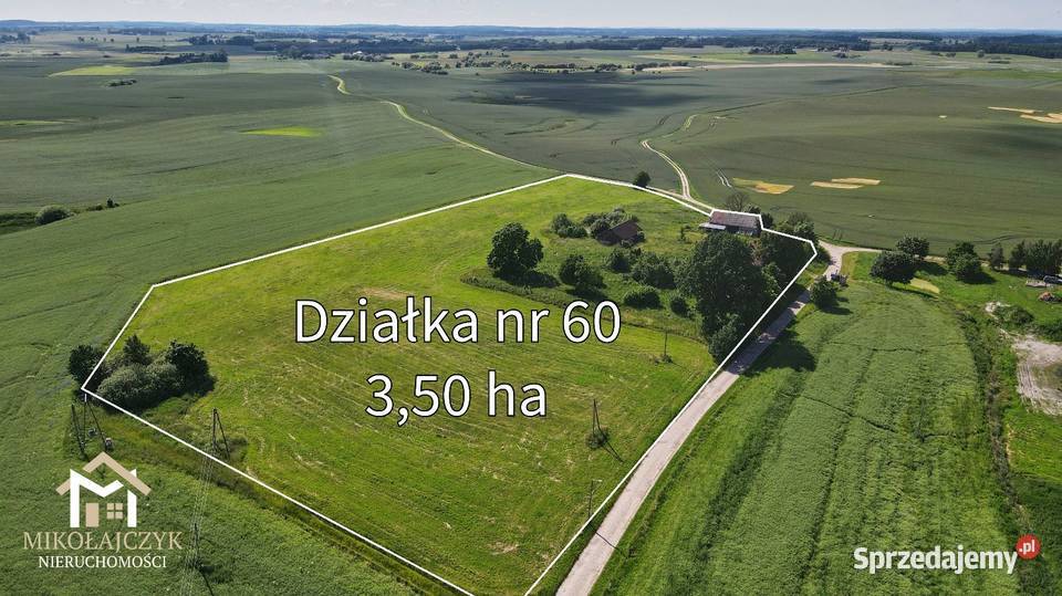 Siedlisko w otoczeniu natury 35 ha las Warmiany warmińsko-mazurskie