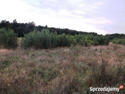 Do Działka Rolna w gm Strzegowo 2zł/m2 mazowieckie Mława