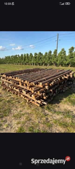 Stęple budowlane mocnesolidne sprzedam