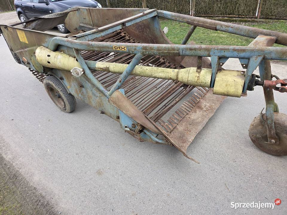 Kopaczka elewatorowa dwurzedowa do ziemniakow Kopaczki Samborzec sprzedam