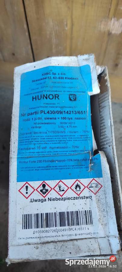 Nasiona buraka cukrowego janetka hunor Turobin