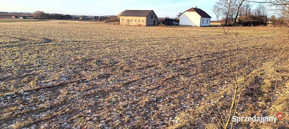 Działka budowlana 10arBrzezie gmBabiakwydane WZ Brzezie