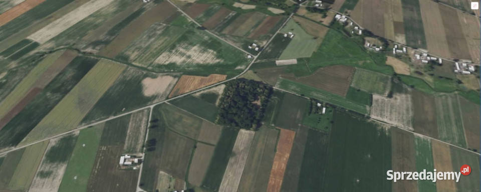 Unikatowy park pod Warszawą Kiełki