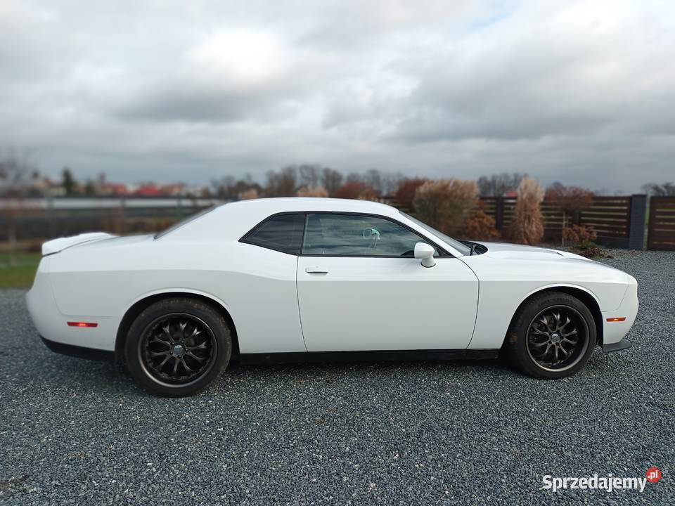 Dodge Challenger SXT 36 2019 Domaniów
