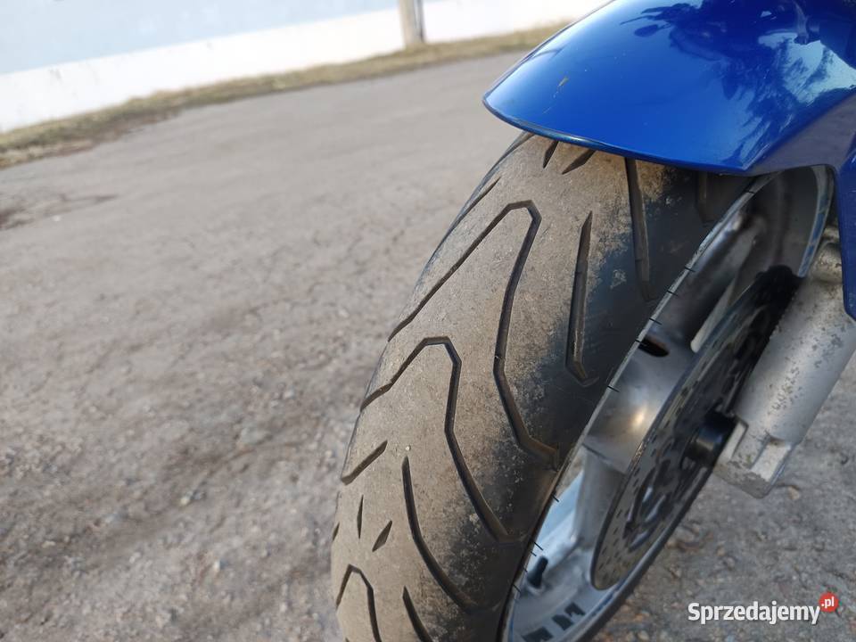 Suzuki SV 650 Naked Pelplin