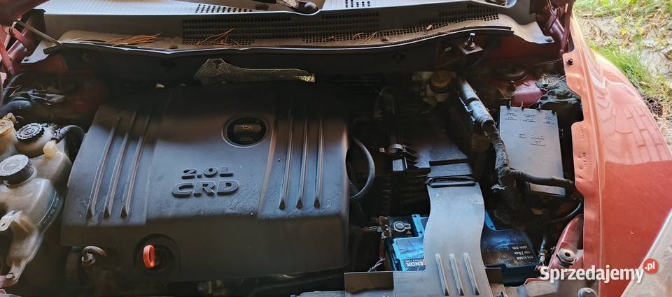 Dodge Caliber 20 Diesel Rok produkcji 2006 Brusów