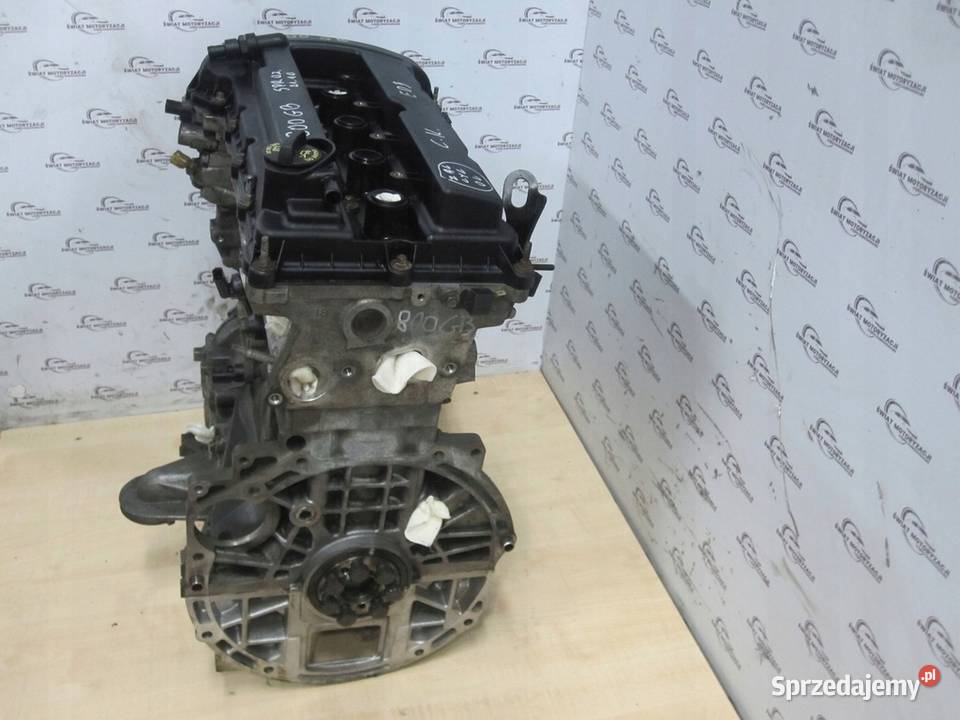 PATRIOT AVENGER COMPASS 24 B ED3 167 10r 169 osobowe Kielce